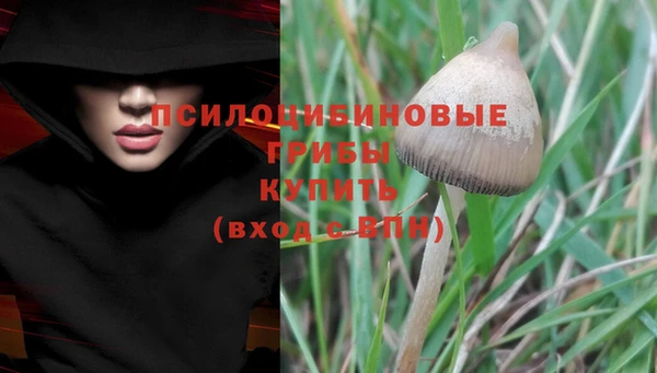 mdma Каменка